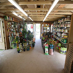 Inside the Store