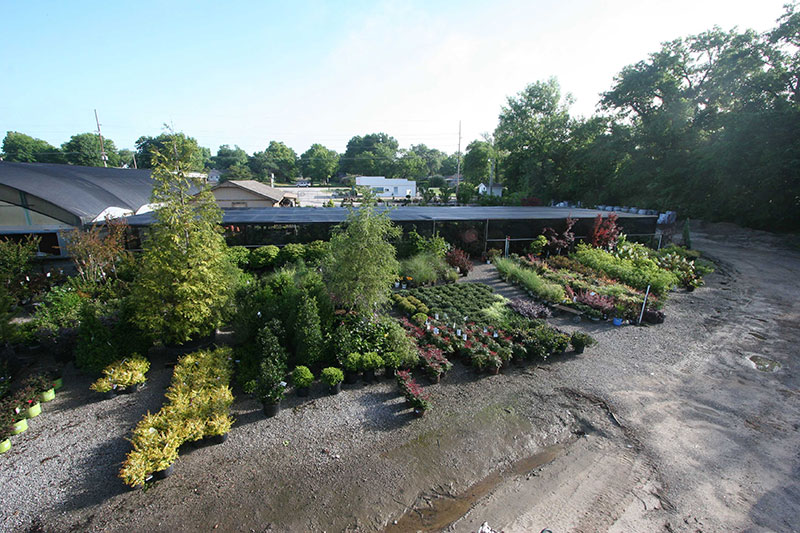 Green Thumb nursery retail area with plants and pottery