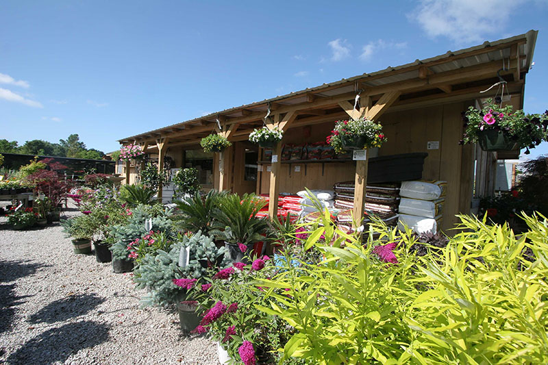 Green Thumb nursery exterior with seasonal displays