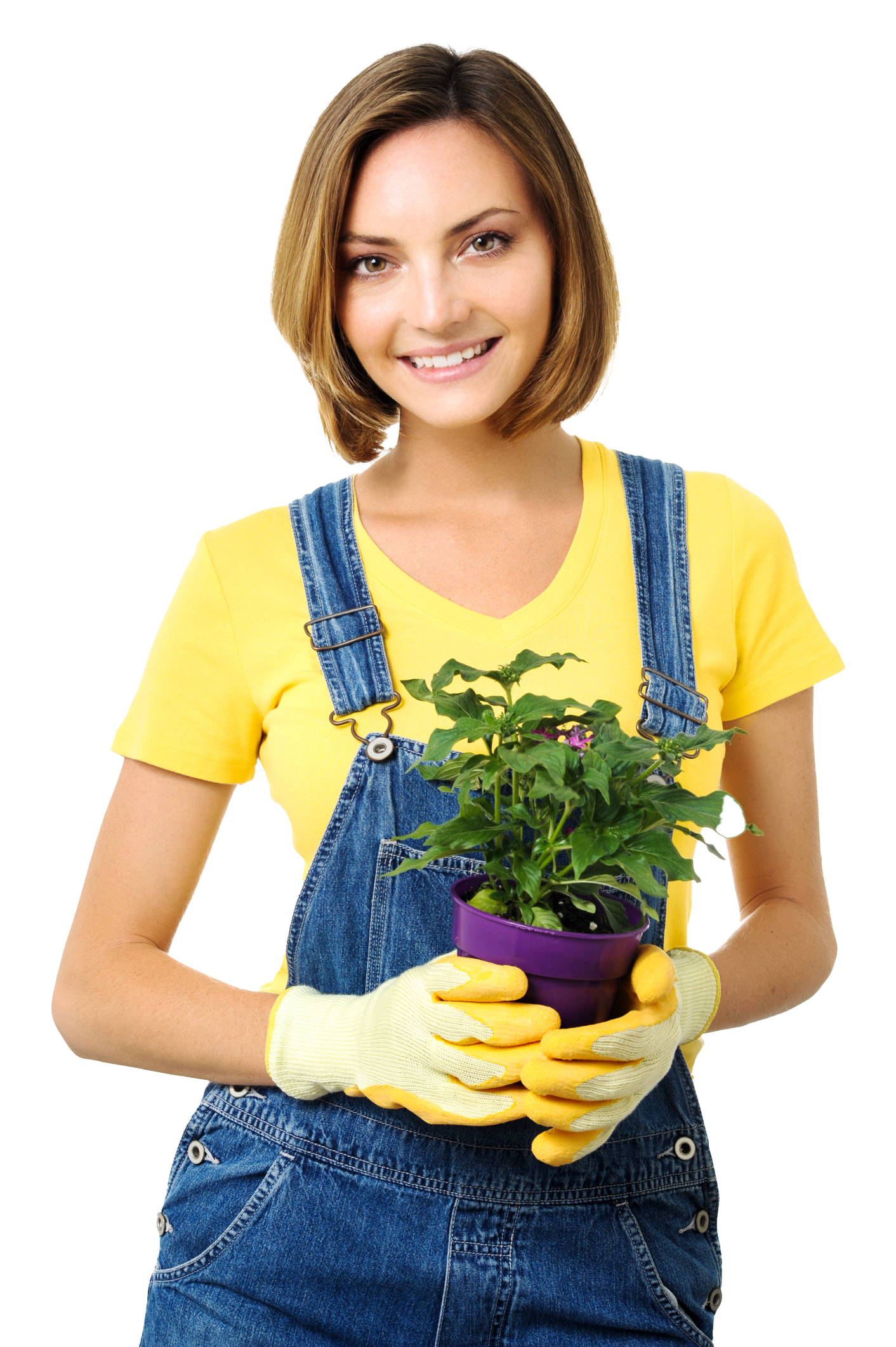 Green Thumb horticulture illustration