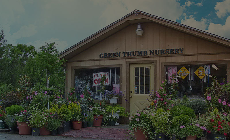 Green Thumb garden center entrance and seasonal flowers