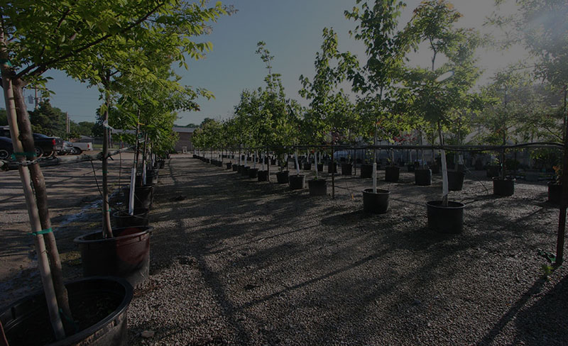 Sprinkler and outdoor lighting support