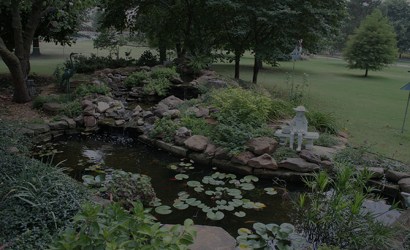 Green Thumb landscaping project with layered planting and lawn