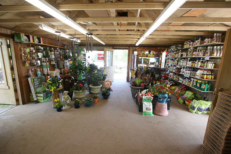Interior nursery and shop display