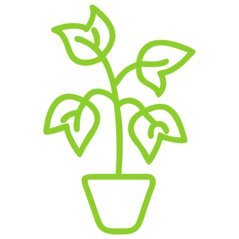 Repotting service icon