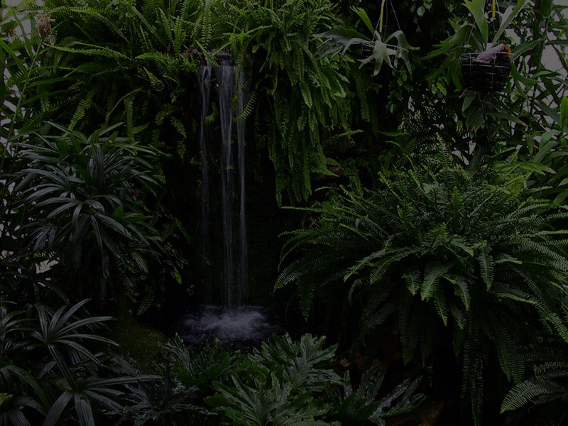 Waterfall landscape feature by Green Thumb